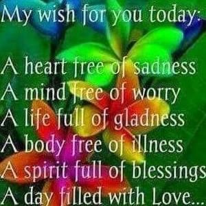 Meet your Posher, Sylvia